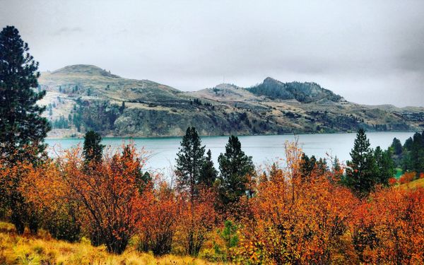 Kalamalka Lake Provincial Park by null