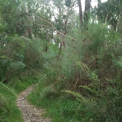 William Morris Reserve