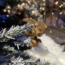 Grey Matter Distillery - Furry rascal