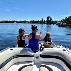 Dolphin Watching