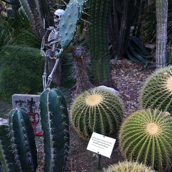 Gruson Gewächshäuser - Botanical Gardens Near Me - Magdeburg, ST