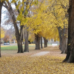 Colorado State University