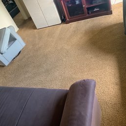 Carpet and couches cleaned