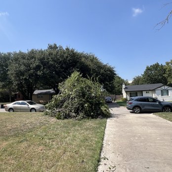 Living Art Tree Care - Neat and tidy pile for bulk services to come pick up - Tree Services Near Me - Lake Worth, Texas