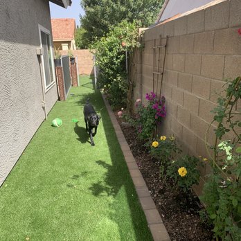 Always Green Turf - The little guy is thrilled with his new dog run and play area! Love that border too! - Artificial Turf Near Me - Mesa, Arizona Always Green Turf - The little guy is thrilled with his new dog run and play area! Love that border too! - Artificial Turf Near Me - Mesa, Arizona