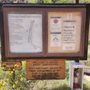 Bright Angel Campground