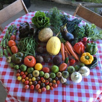 Spring Bluff Nursery - We use organic gardening methods only, have a huge U-PICK garden and offer CSA memberships. - Nurseries & Gardening Near Me - Sugar Grove, Illinois