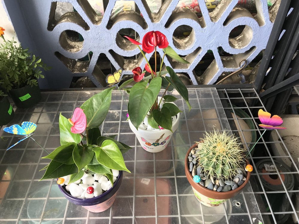 JARDÍN ESMERALDA Updated September 2024 Avenida Esmeralda 23