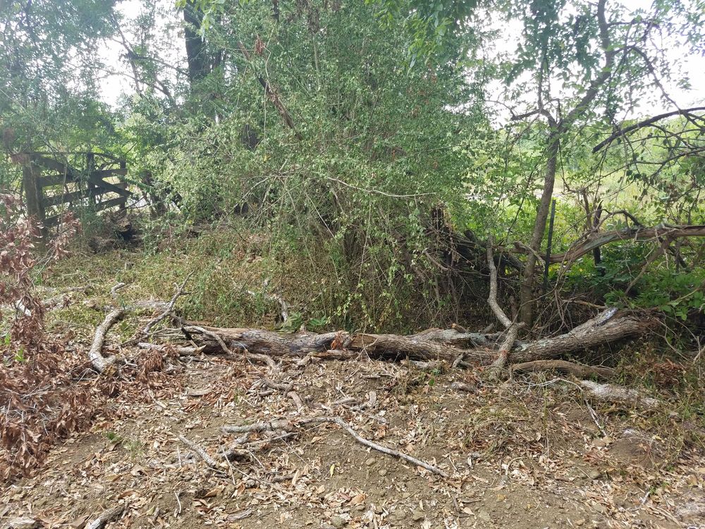 Slide of SCE Landscaping/Tree Service