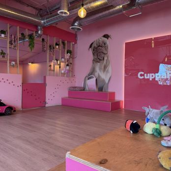 Cuppa Pug - Where the pugs enter from - Themed Cafes Near Me - Escondido, California