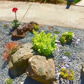 Randall Ray Designs - a garden with rocks and plants - Landscaping Near Me - Santa Cruz, California Randall Ray Designs - a garden with rocks and plants - Landscaping Near Me - Santa Cruz, California