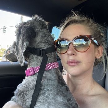 Dee Dee's Dog Spot - Luna headed for a beach walk - Pet Groomers Near Me - Ventura, California Dee Dee's Dog Spot - Luna headed for a beach walk - Pet Groomers Near Me - Ventura, California