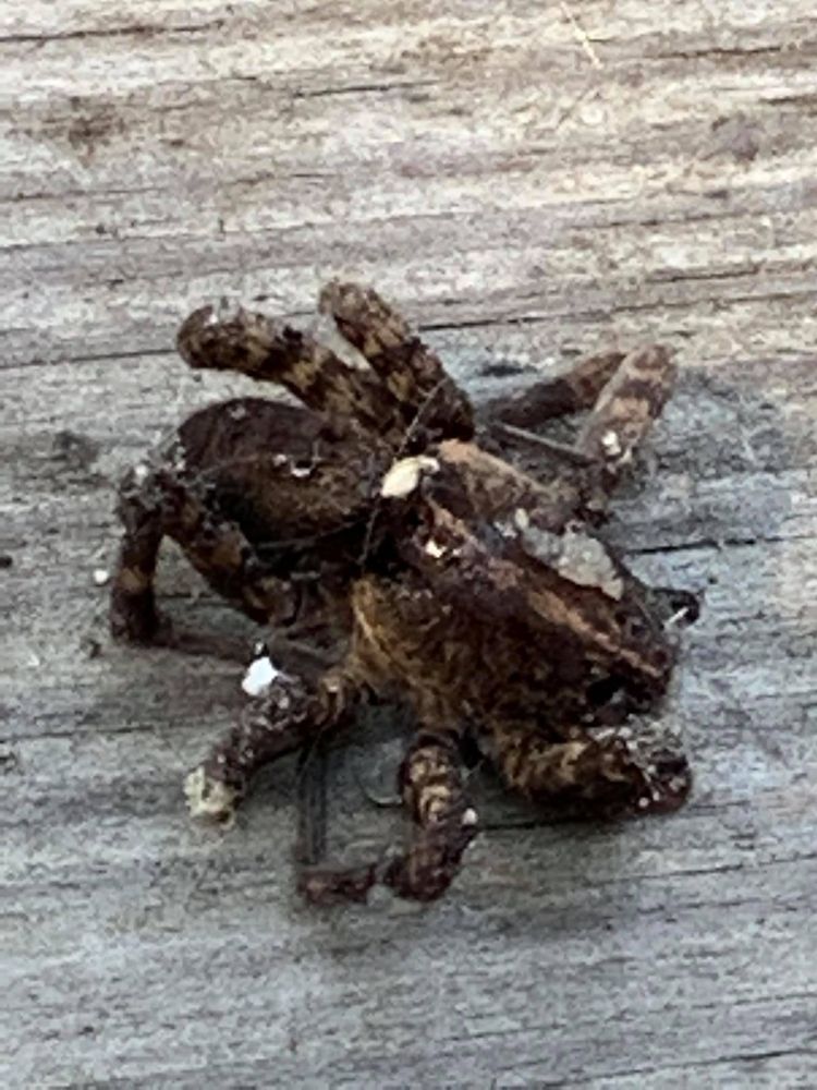 Slide of Brunson's Roofing