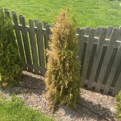 House To House Landscaping