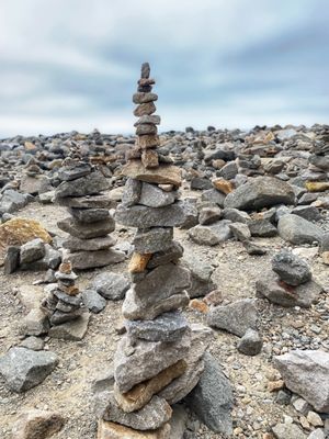 Morro Bay State Park by null