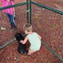 Photo of Ponylandia Pony Rides