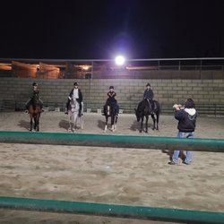TK Dressage Unlimited