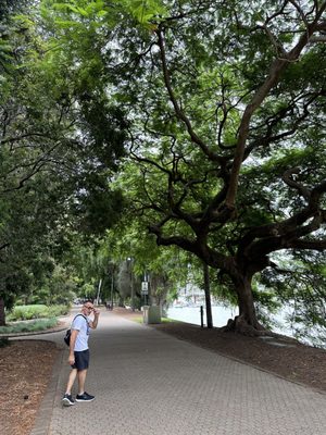 City Botanic Gardens by null