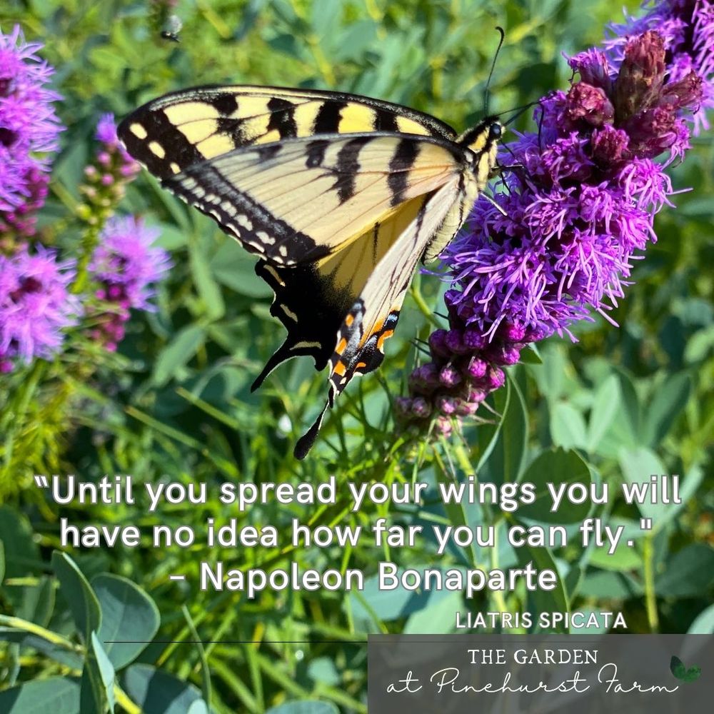 THE GARDEN AT PINEHURST FARM Updated September 2024 Request