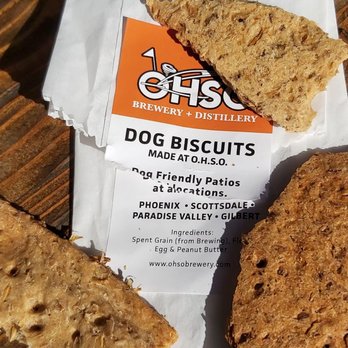 OHSO Brewery- Arcadia - My dogs ate these! - Breweries Near Me - Phoenix, Arizona OHSO Brewery- Arcadia - My dogs ate these! - Breweries Near Me - Phoenix, Arizona