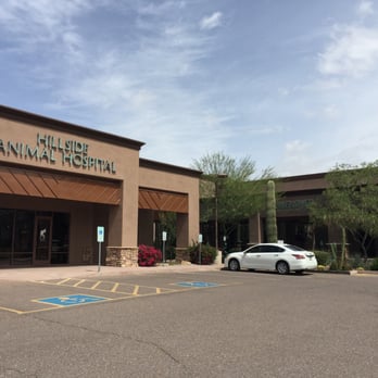 Romp - Romp is next to Hillside Animal Hospital (on the right) where Matthew was a professional for years assisting their loving doctors. - Pet Sitting Near Me - Scottsdale, Arizona