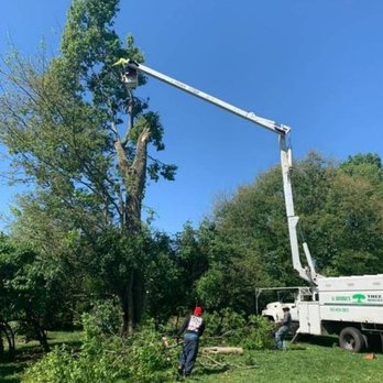 G. Rivera's Tree Service - Tree Services Near Me G. Rivera's Tree Service - Tree Services Near Me