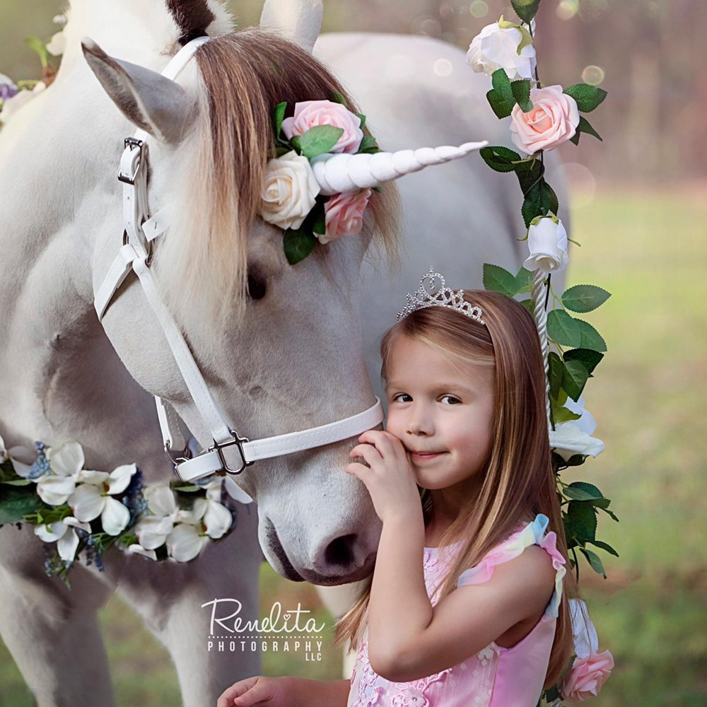 Palm valley pony parties - equestrian in St. Augustine, FL