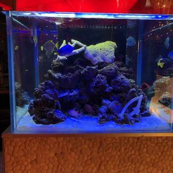 Jacky's Waterplace - Fish tank when you walk in! - Sushi Bars Near Me - Providence, Rhode Island Jacky's Waterplace - Fish tank when you walk in! - Sushi Bars Near Me - Providence, Rhode Island