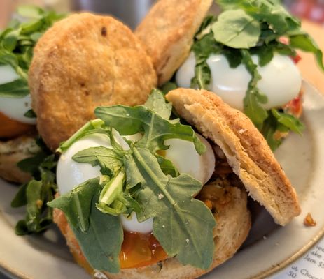 Standard Fare by null Standard Fare by null