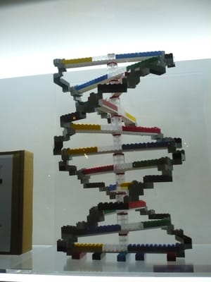 Science Centre Singapore by null