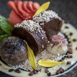 The Alden - LUNAR CHOCOLATE ~ truffles ~ popped grains ~ strawberry sorbet