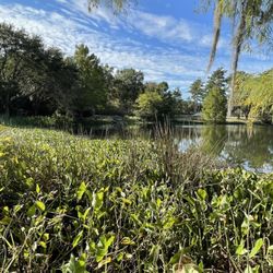 Tom Brown Park