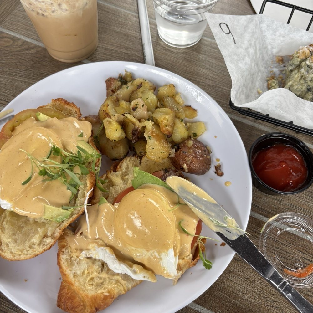 YES PLEASE - Egg Hollandaise - Coffee & Tea Near Me - La Quinta, California YES PLEASE - Egg Hollandaise - Coffee & Tea Near Me - La Quinta, California
