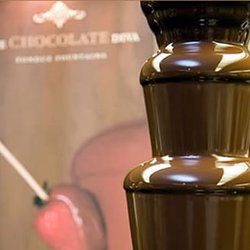 THE CHOCOLATE DIVA