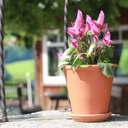 Landgasthof Zur Post