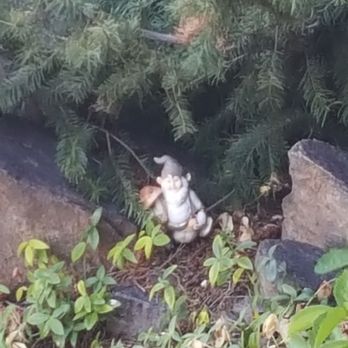 Ohme Gardens - A gnome in Ohme. - Tours Near Me - Wenatchee, Washington Ohme Gardens - A gnome in Ohme. - Tours Near Me - Wenatchee, Washington