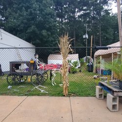 Veggie Patch - Black Magic   outside decor 9/13/2024