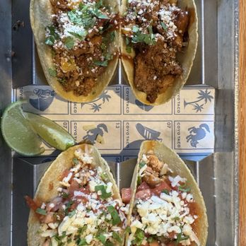 Coyo Taco - POLLO AL CARBON tacos & AL PASTOR tacos - Mexican Near Me - Miami, Florida
