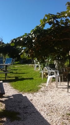 Mercury Bay Estate - Winery & Restaurant by null