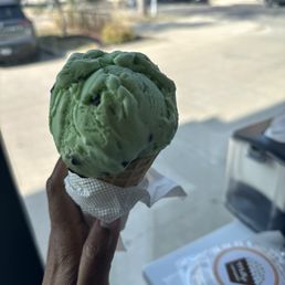 Mint Chocolate Chip