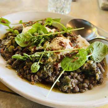 Manuela - Poached egg with lentils & charred scallions & crispy shallots - New American Near Me - Los Angeles, California Manuela - Poached egg with lentils & charred scallions & crispy shallots - New American Near Me - Los Angeles, California