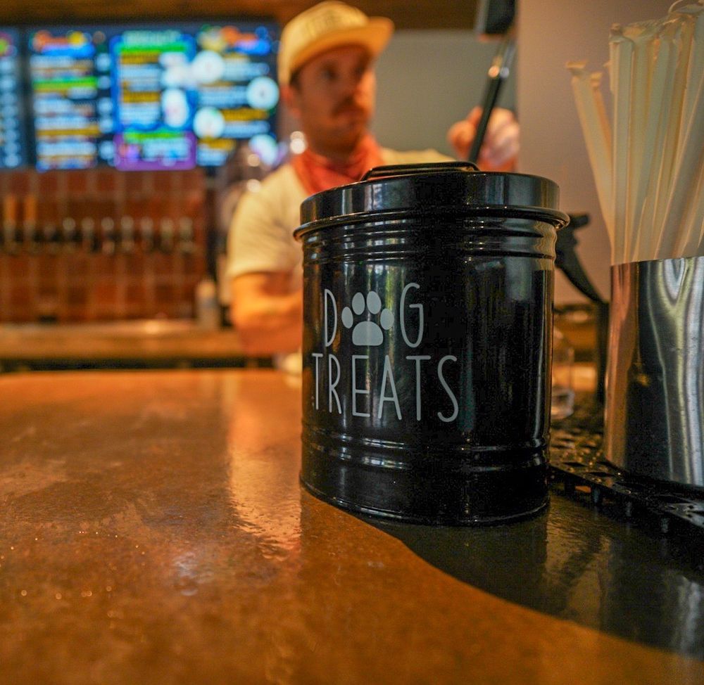 Cosmic Saltillo - wedding in Austin, TX