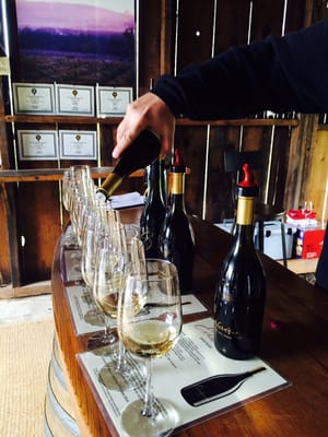 Canihan Wines by null