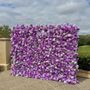 Photo of Rose Wall San Diego