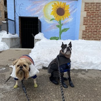 Bark N Unity - Pet Sitting Near Me