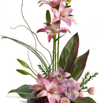 Chappell's Florist - Florists Near Me - South Burlington, Vermont Chappell's Florist - Florists Near Me - South Burlington, Vermont