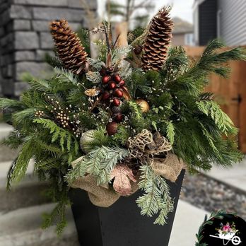The Wheelbarrow Gardener - Custom outdoor winter planters. Made with fresh pine, fir and cedar they look and smell amazing, lasting for up to 4 months - Gardeners Near Me The Wheelbarrow Gardener - Custom outdoor winter planters. Made with fresh pine, fir and cedar they look and smell amazing, lasting for up to 4 months - Gardeners Near Me