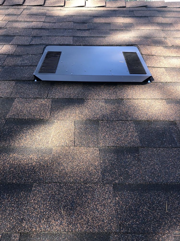 Slide of Dragon's Roofing