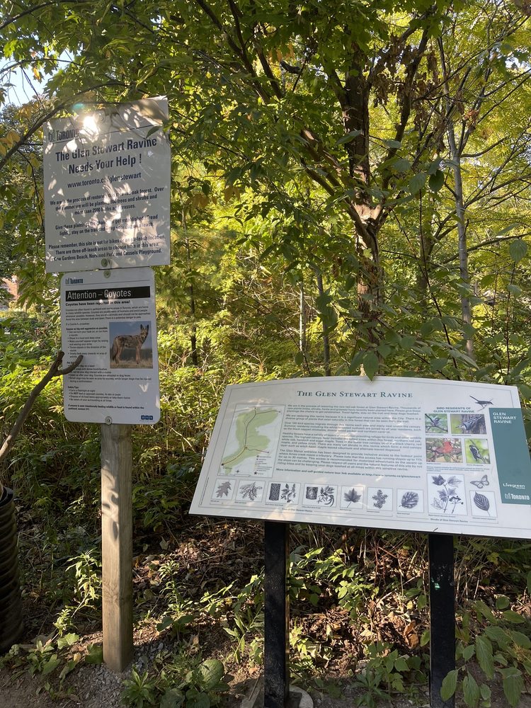 Glen Stewart Ravine Image