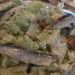 Ceasar Salad Ceasar Salad